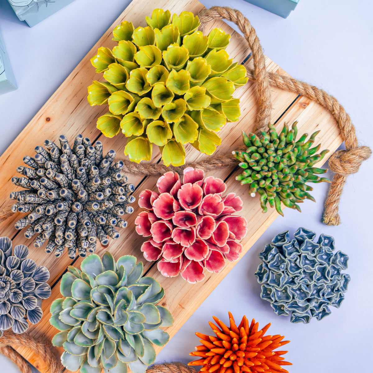 Coral Collection — Ceramic Wall Art