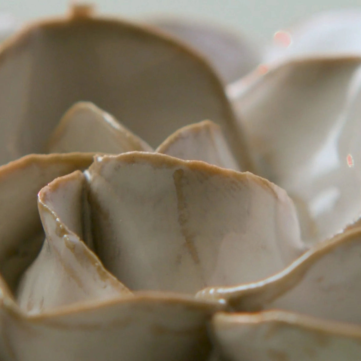 Ceramic Flowers Costal Collection - Chive Ceramics Studio