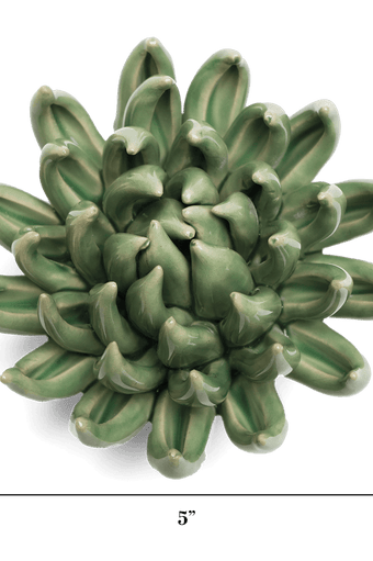 EG14 Jade Green Succulent - Chive US Wholesale