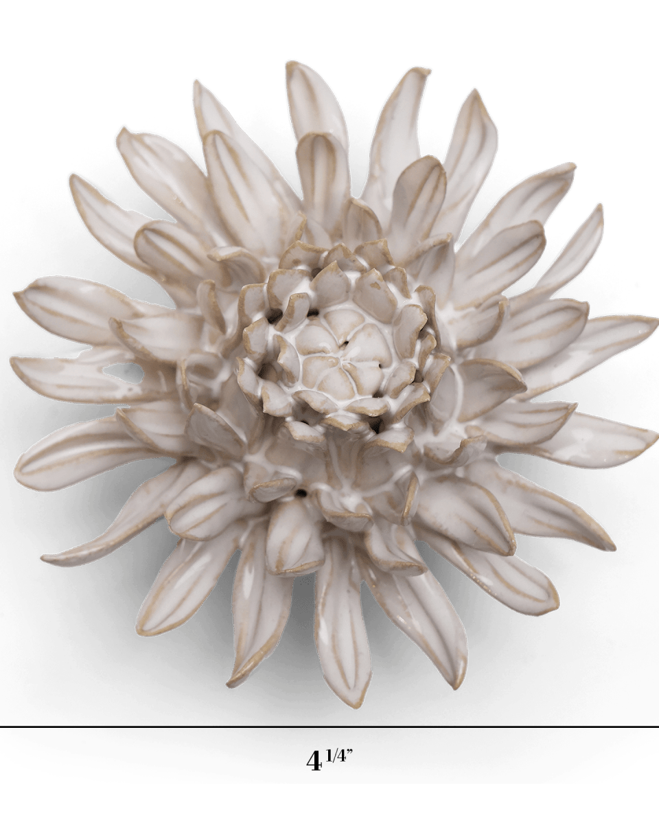 CO04 Ivory Spider Mum - Chive US Wholesale