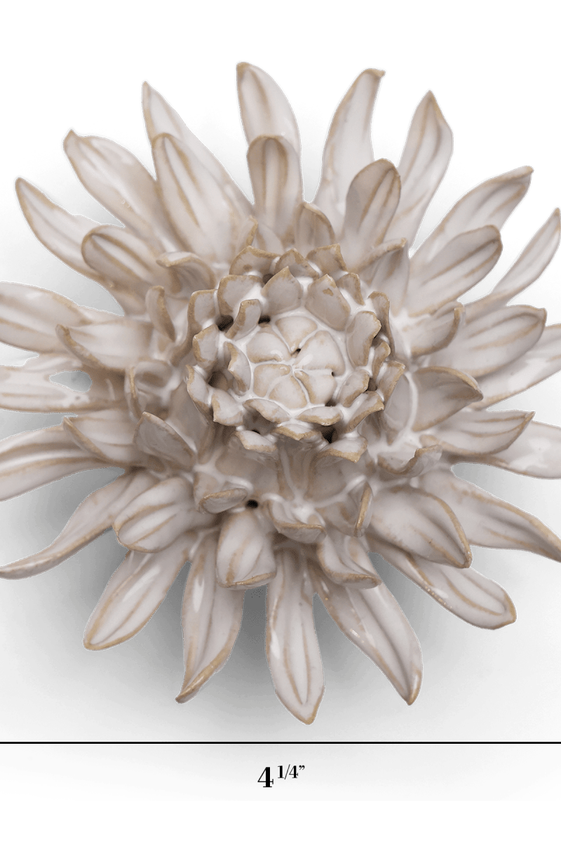 CO04 Ivory Spider Mum - Chive US Wholesale