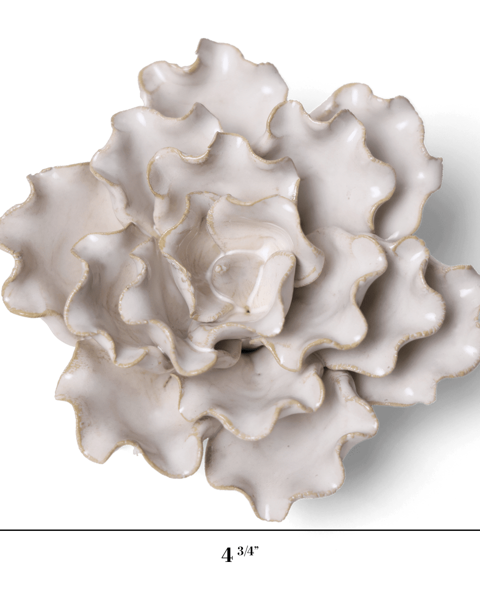 CO14 Ivory Sea Lettuce Medium - Chive US Wholesale