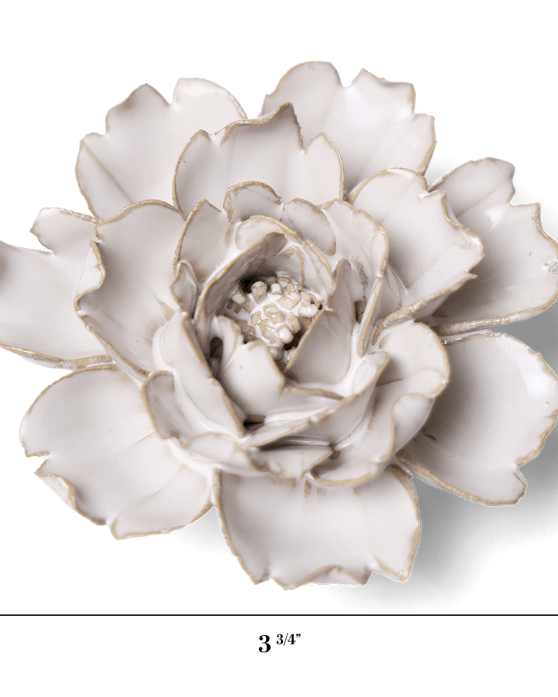 CO03 Ivory Rose - Chive US Wholesale