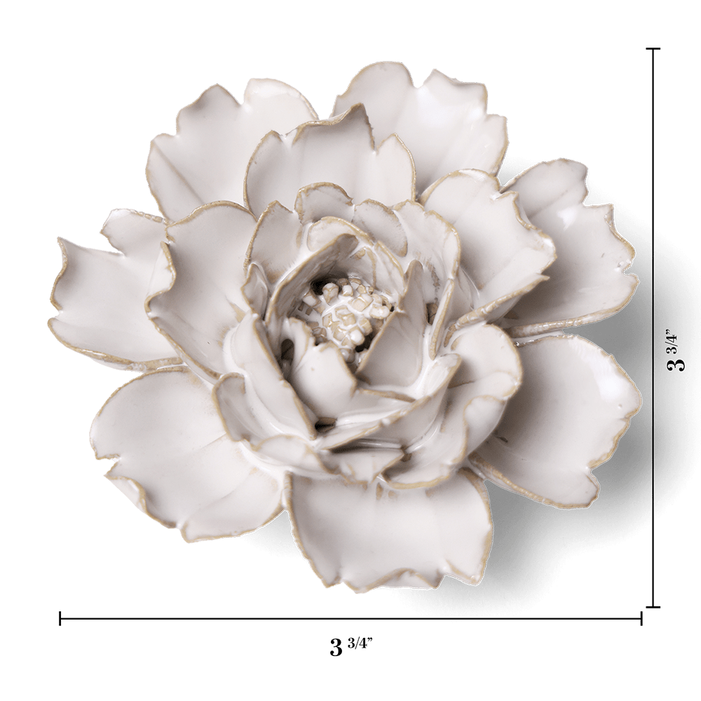 CO03 Ivory Rose - Chive US Wholesale