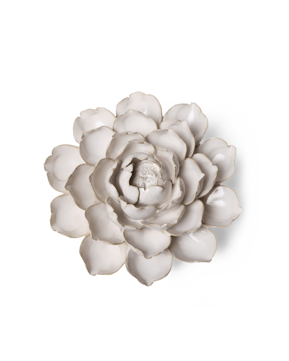 CO07-1_d96de254-d06c-4635-a8a3