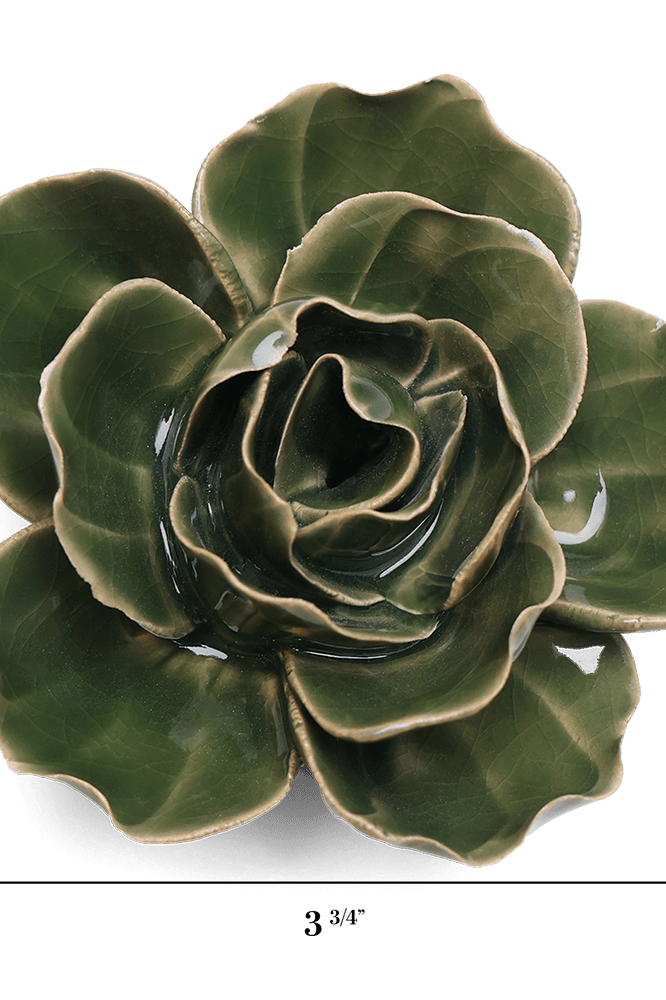 EG03 Fir Green Butterfly Ranunculus - Chive US Wholesale