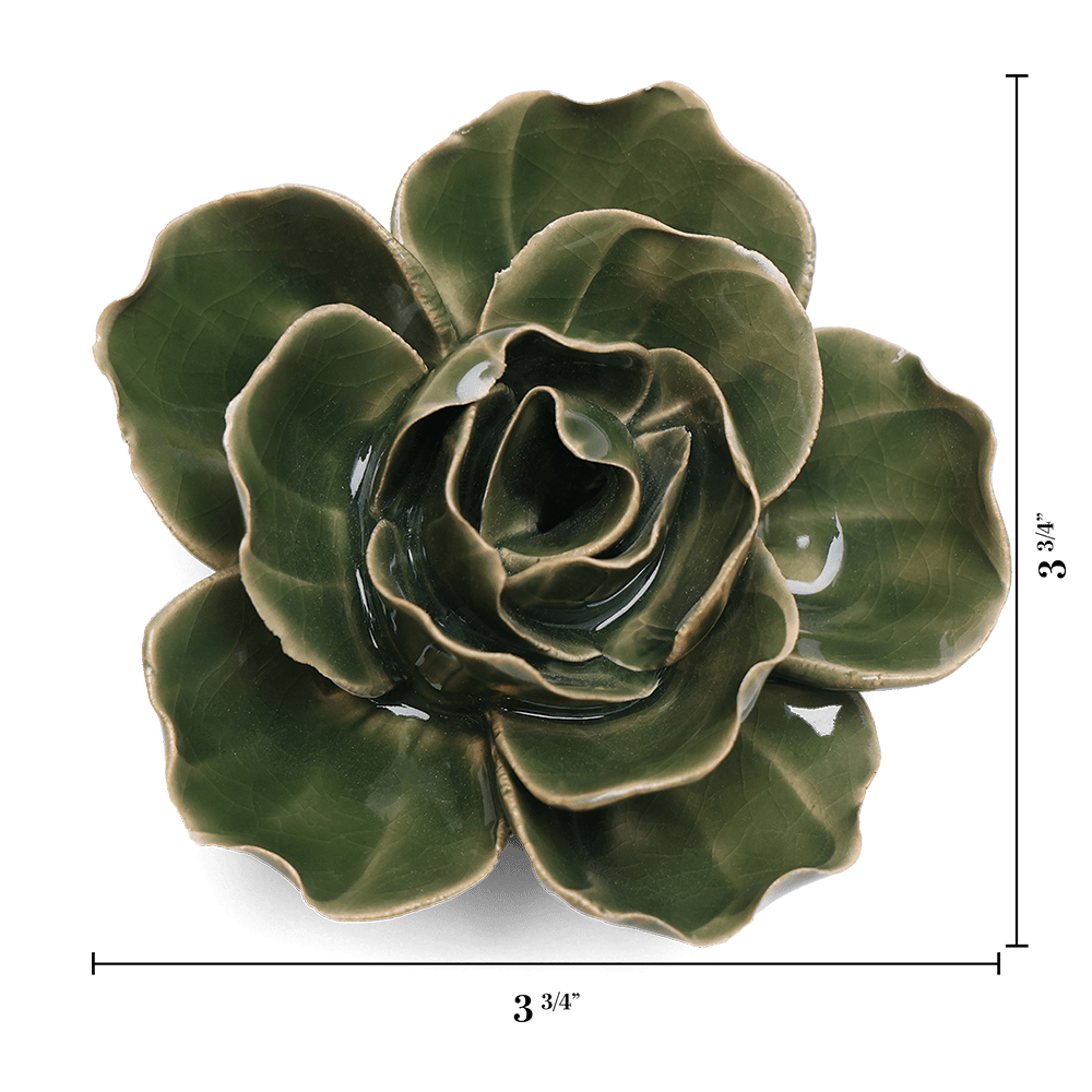 EG03 Fir Green Butterfly Ranunculus - Chive US Wholesale