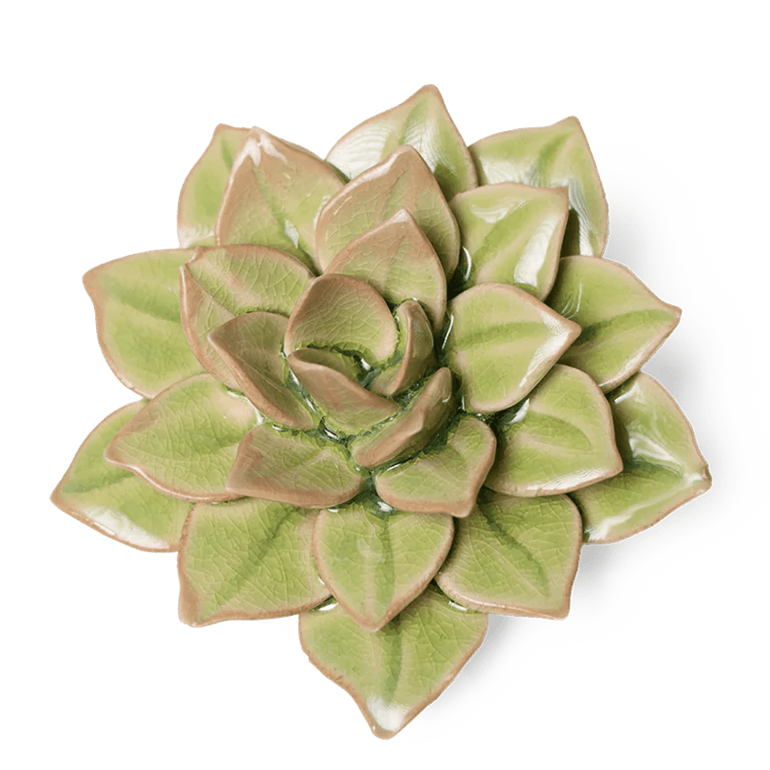 EG10 Peridot Green Fairy Echeveria - Chive Ceramics Studio - Ceramic Flowers - Chive Ceramics Studio
