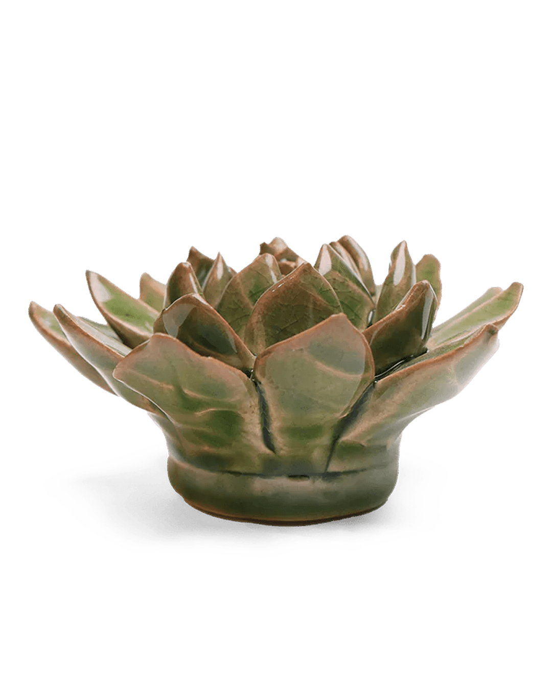 EG12 Avocado Green Firecracker Succulent - Chive Ceramics Studio - Ceramic Flowers - Chive Ceramics Studio