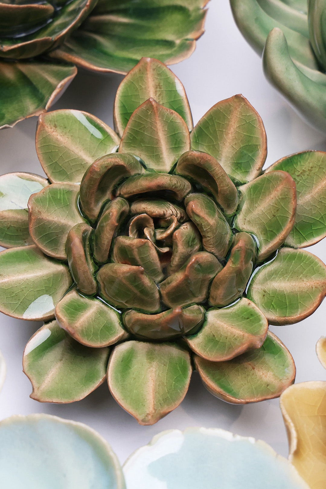 Avocado Green Firecracker Succulent - Chive Ceramics Studio - Ceramic Flowers - Chive Ceramics Studio