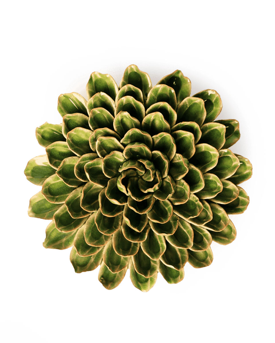 Avocado Green Unicorn Zinnia Ceramic Flower | English Garden