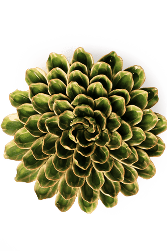 EG20 Avocado Green Unicorn Zinnia - Chive Ceramics Studio - Ceramic Flowers - Chive Ceramics Studio
