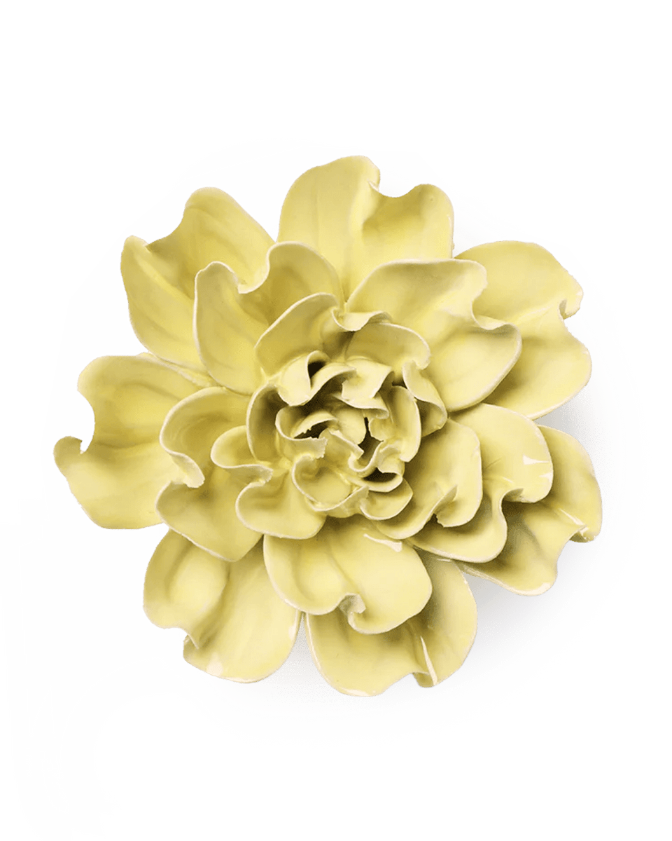 EG26-1.png?crop=center&height=