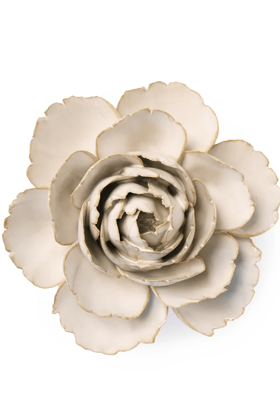 EG31 Ivory English Rose - Chive Ceramics Studio - Ceramic Flowers - Chive Ceramics Studio