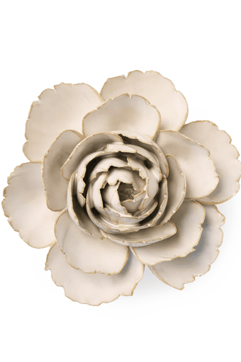 EG31 Ivory English Rose - Chive Ceramics Studio - Ceramic Flowers - Chive Ceramics Studio