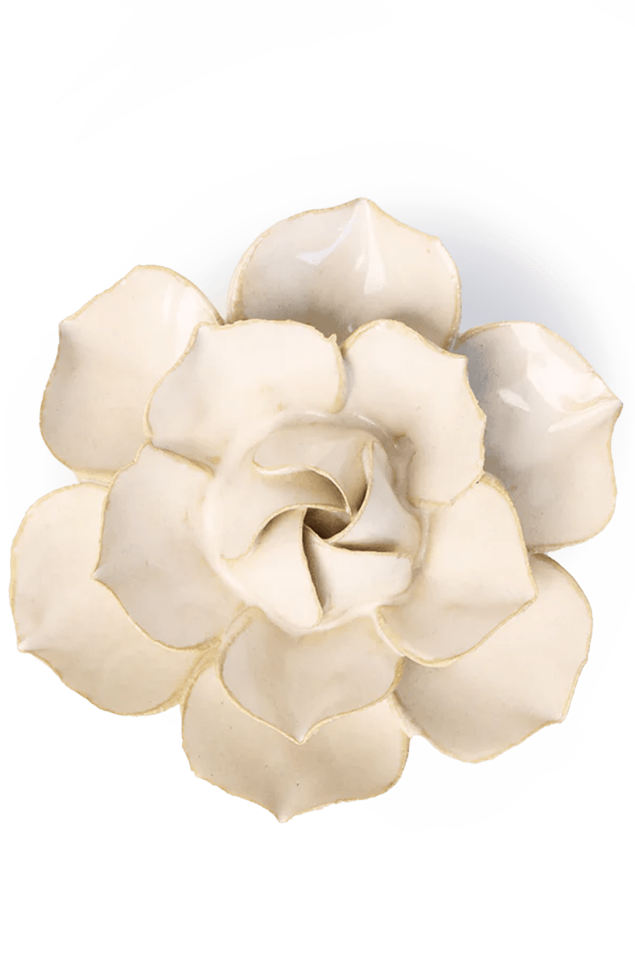 EG34 Ivory Daffodil - Chive Ceramics Studio - Ceramic Flowers - Chive Ceramics Studio