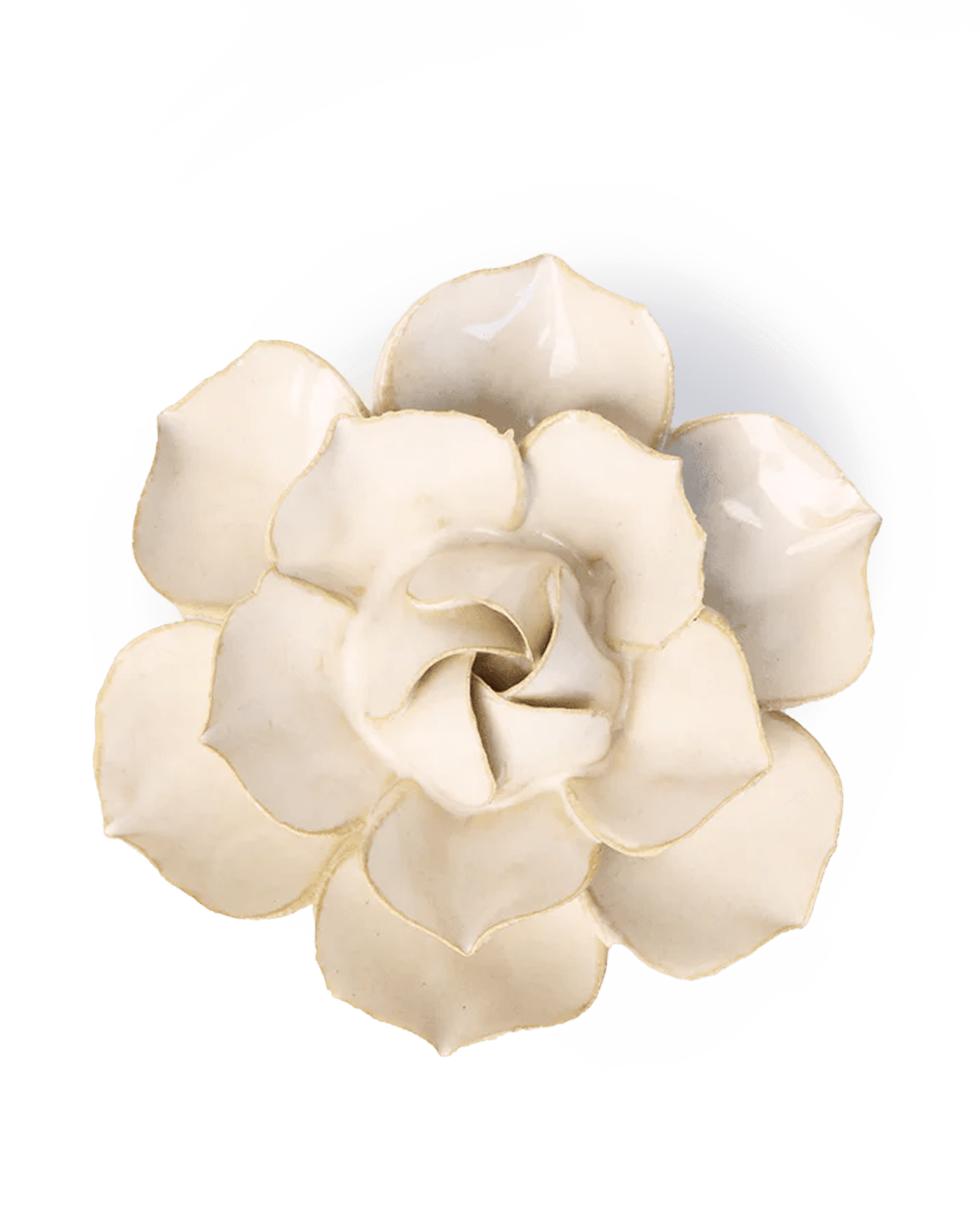 EG34 Ivory Daffodil - Chive Ceramics Studio - Ceramic Flowers - Chive Ceramics Studio