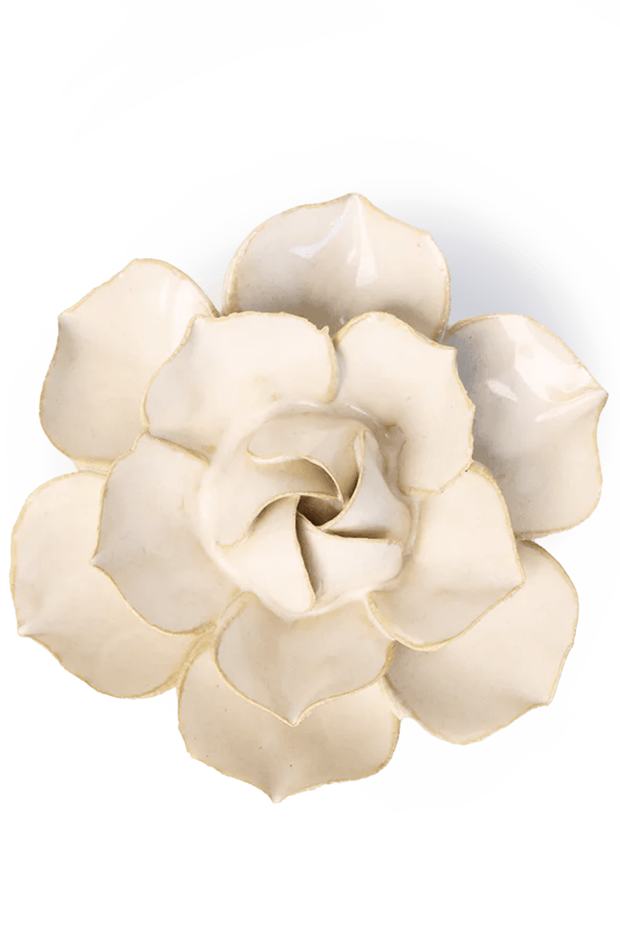 Ivory Daffodil - Chive Ceramics Studio - Ceramic Flowers - Chive Ceramics Studio