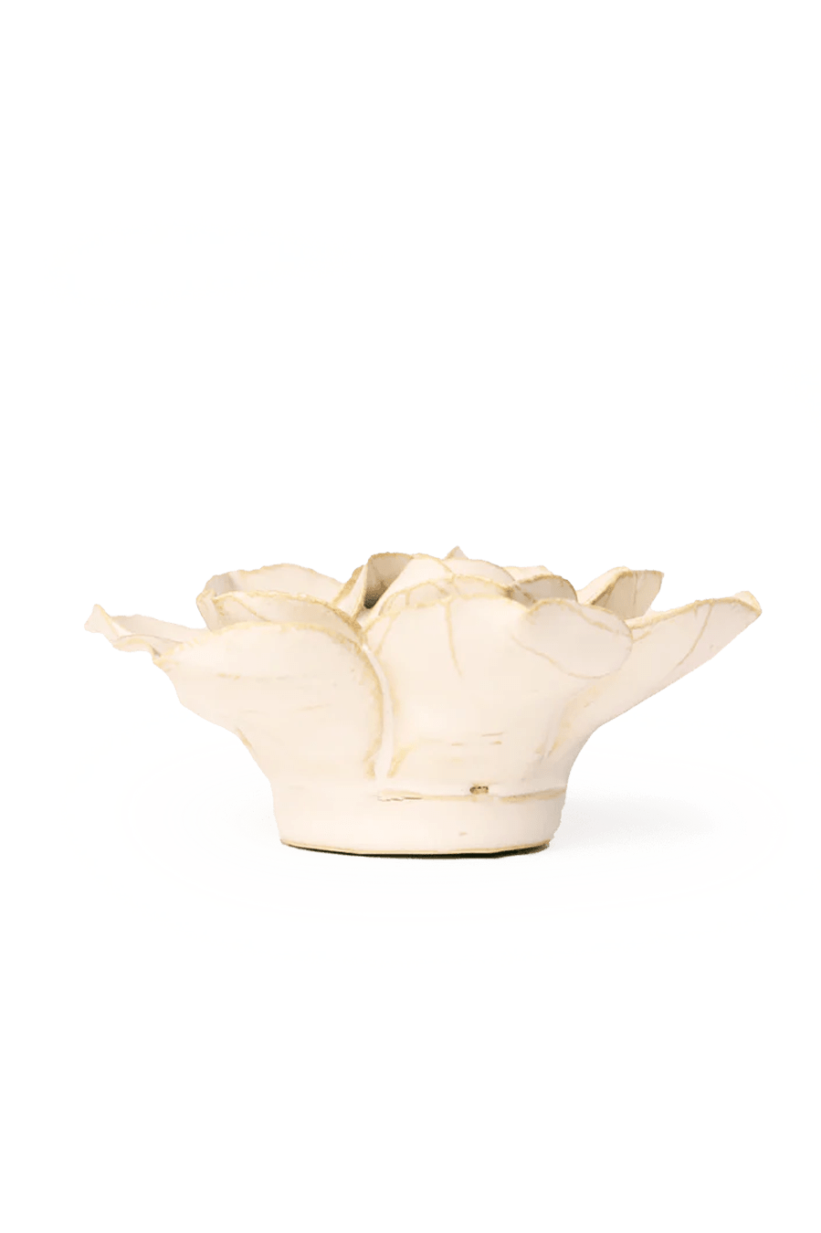 Ivory Daffodil - Chive Ceramics Studio - Ceramic Flowers - Chive Ceramics Studio