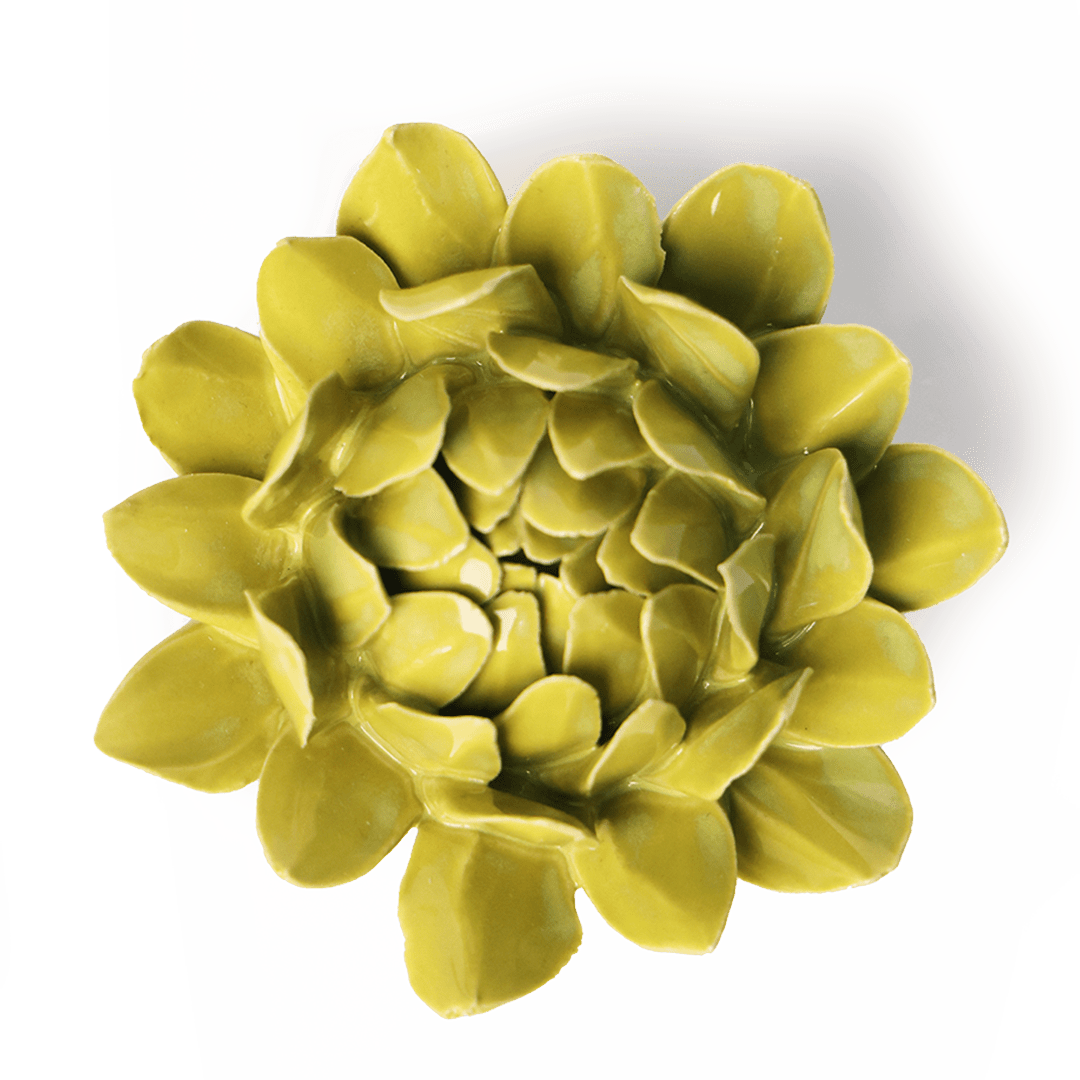 Chartreuse Sugarbush Protea - Chive Ceramics Studio - Ceramic Flowers - Chive Ceramics Studio