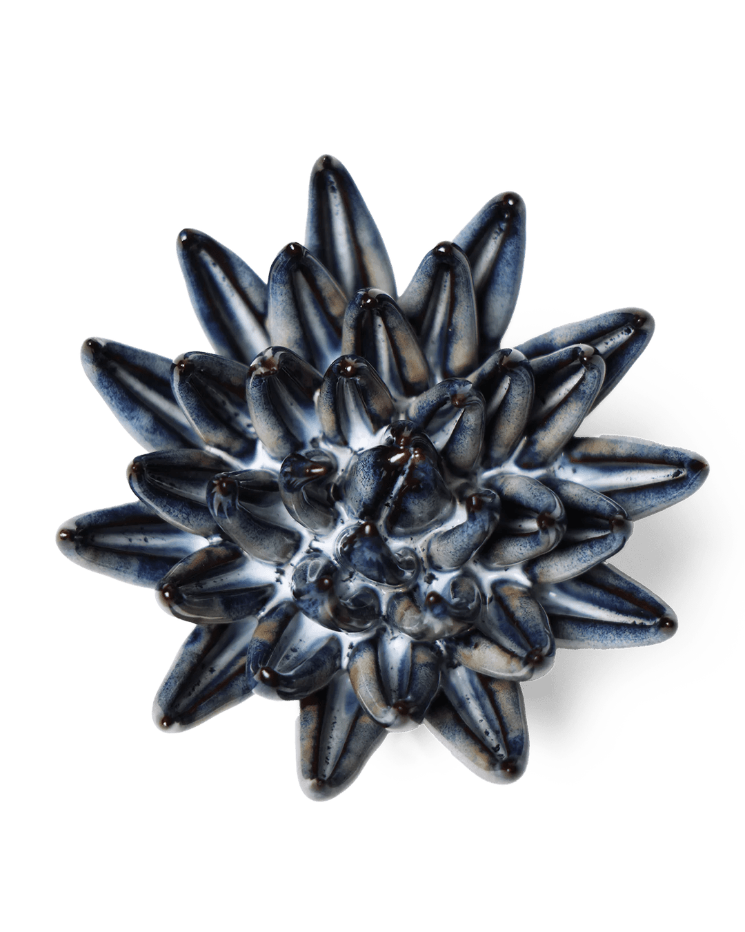 JA16 Navy Blue Chalksticks Succulent - Chive Ceramics Studio - Ceramic Flowers - Chive Ceramics Studio