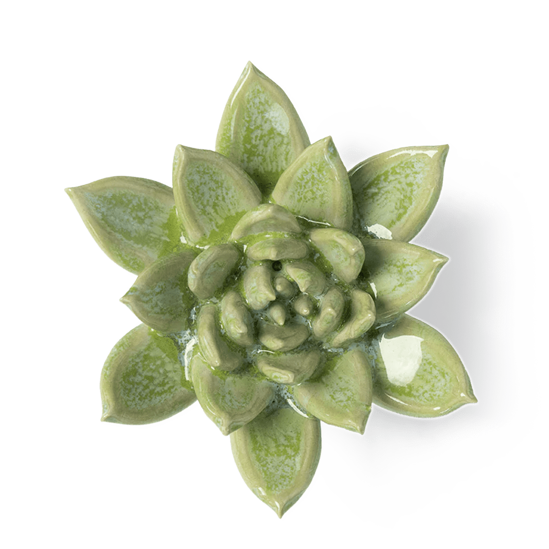 JA20 Pea Green Ghost Succulent - Chive Ceramics Studio - Ceramic Flowers - Chive Ceramics Studio