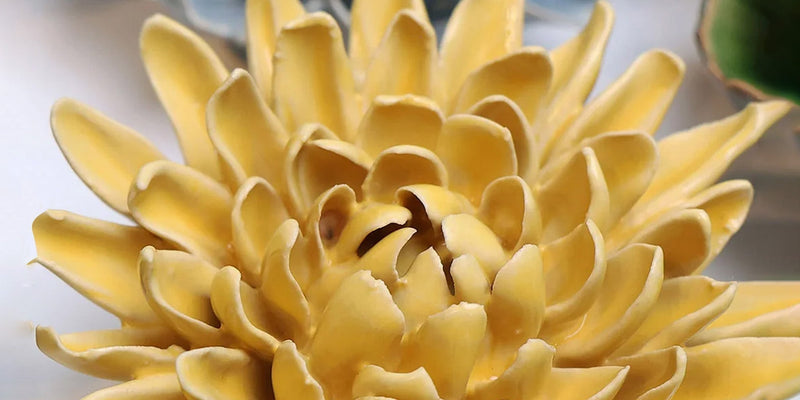 November Birth Flower: The Chrysanthemum - Chive Ceramics