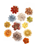 February Birth Flower - Primrose - Chive Ceramics Studio - Ceramic Flowers - Chive Ceramics Studio