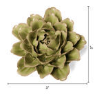 EG06 Peridot Comanche Peony - Chive US Wholesale