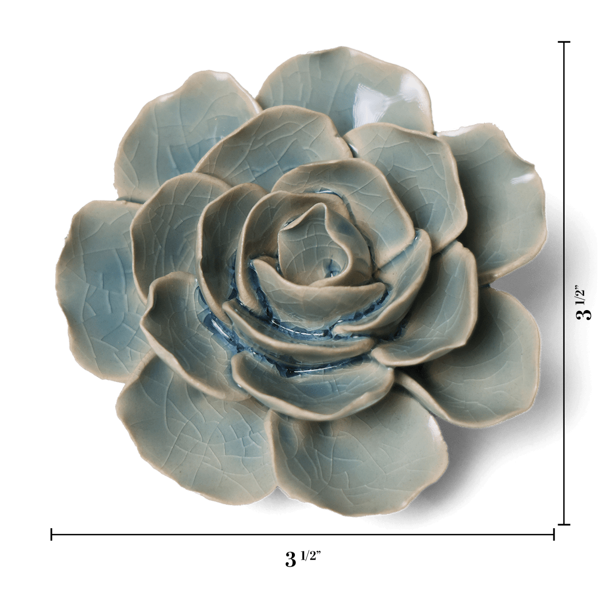 EG04 Powder Blue Amandine Ranunculus - Chive US Wholesale