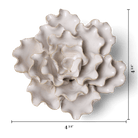 CO14 Ivory Sea Lettuce Medium - Chive US Wholesale