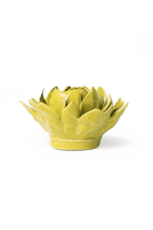 Chartreuse Sugarbush Protea - Chive Ceramics Studio - Ceramic Flowers - Chive Ceramics Studio