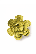 February Birth Flower - Primrose - Chive Ceramics Studio - Ceramic Flowers - Chive Ceramics Studio