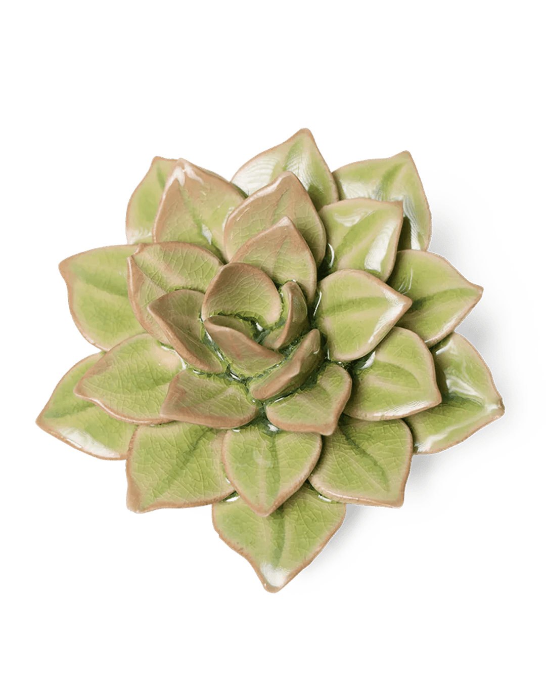 EG10 Peridot Green Fairy Echeveria - Chive Ceramics Studio - Ceramic Flowers - Chive Ceramics Studio