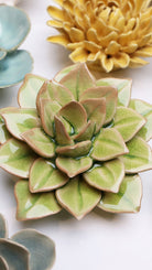 Peridot Green Fairy Echeveria - Chive Ceramics Studio - Ceramic Flowers - Chive Ceramics Studio
