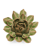 EG12 Avocado Green Firecracker Succulent - Chive Ceramics Studio - Ceramic Flowers - Chive Ceramics Studio