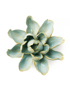 EG24 Robin's Egg Blue Aurora Water Lily - Chive Ceramics Studio - Ceramic Flowers - Chive Ceramics Studio