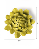 Chartreuse Sugarbush Protea - Chive Ceramics Studio - Ceramic Flowers - Chive Ceramics Studio