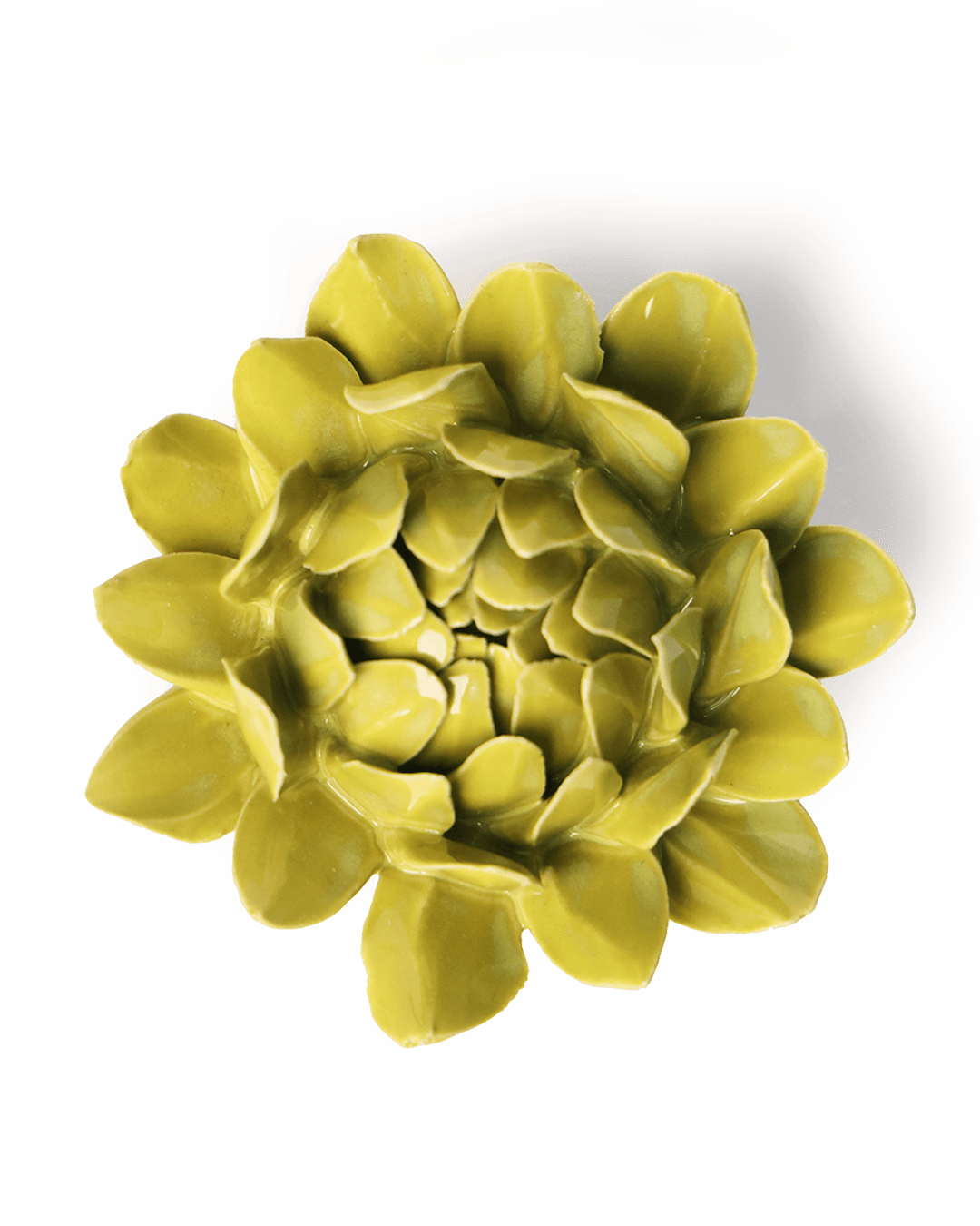 Chartreuse Sugarbush Protea - Chive Ceramics Studio - Ceramic Flowers - Chive Ceramics Studio