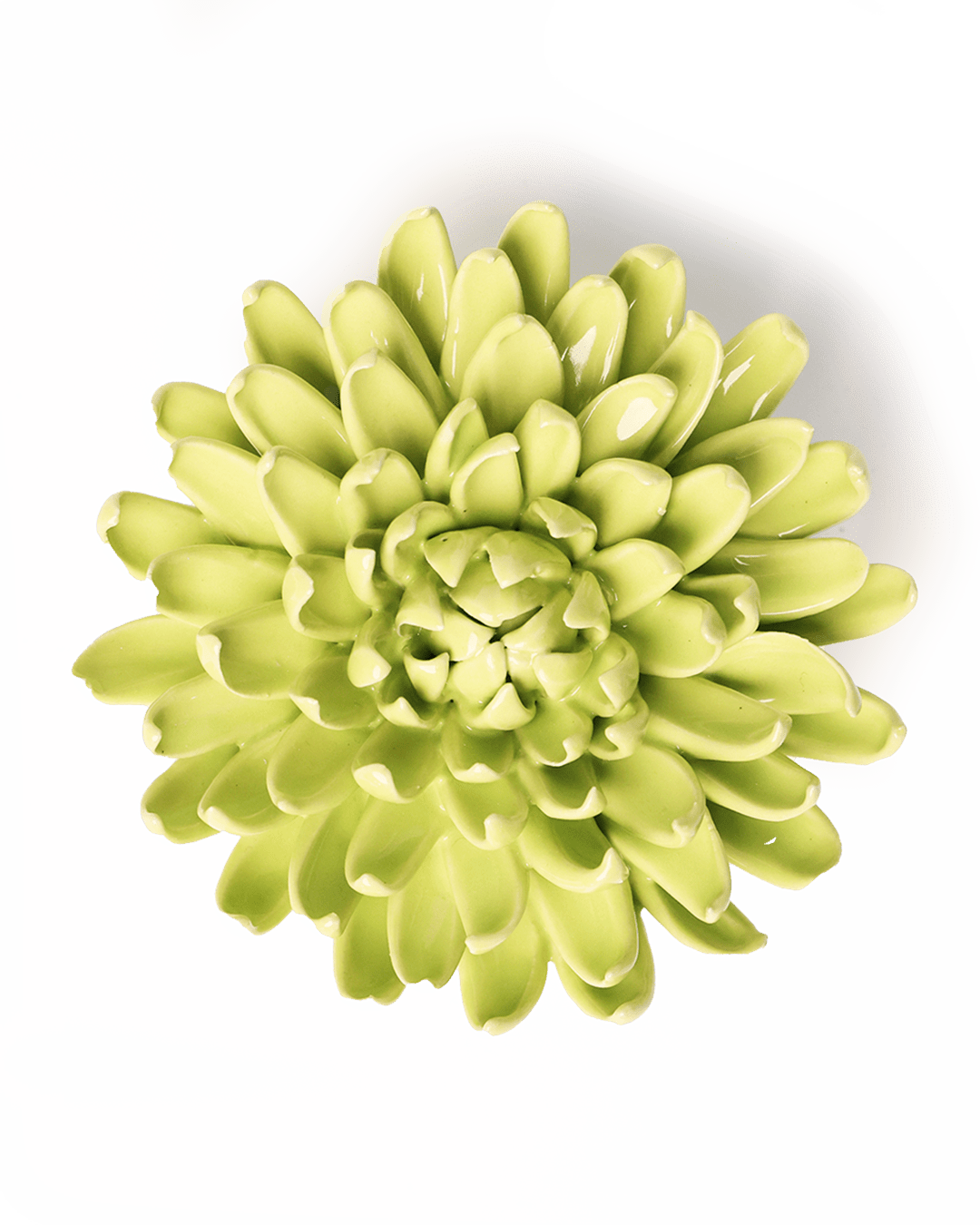 Yellow Green Pompom Mum - Chive Ceramics Studio - Ceramic Flowers - Chive Ceramics Studio