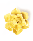 Buttercup Yellow Daffodil - Chive Ceramics Studio - Ceramic Flowers - Chive Ceramics Studio