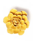 Burnt Yellow Begonia - Chive Ceramics Studio - Ceramic Flowers - Chive Ceramics Studio