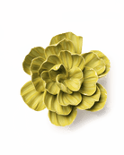 Chartreuse Primrose - Chive Ceramics Studio - Ceramic Flowers - Chive Ceramics Studio