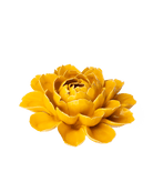 FR14 Burnt Yellow Empire Cabbage Flower - Chive Ceramics Studio - Ceramic Flowers - Chive Ceramics Studio