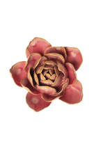 December Birth Flower - Narcissus - Chive Ceramics Studio - Ceramic Flowers - Chive Ceramics Studio