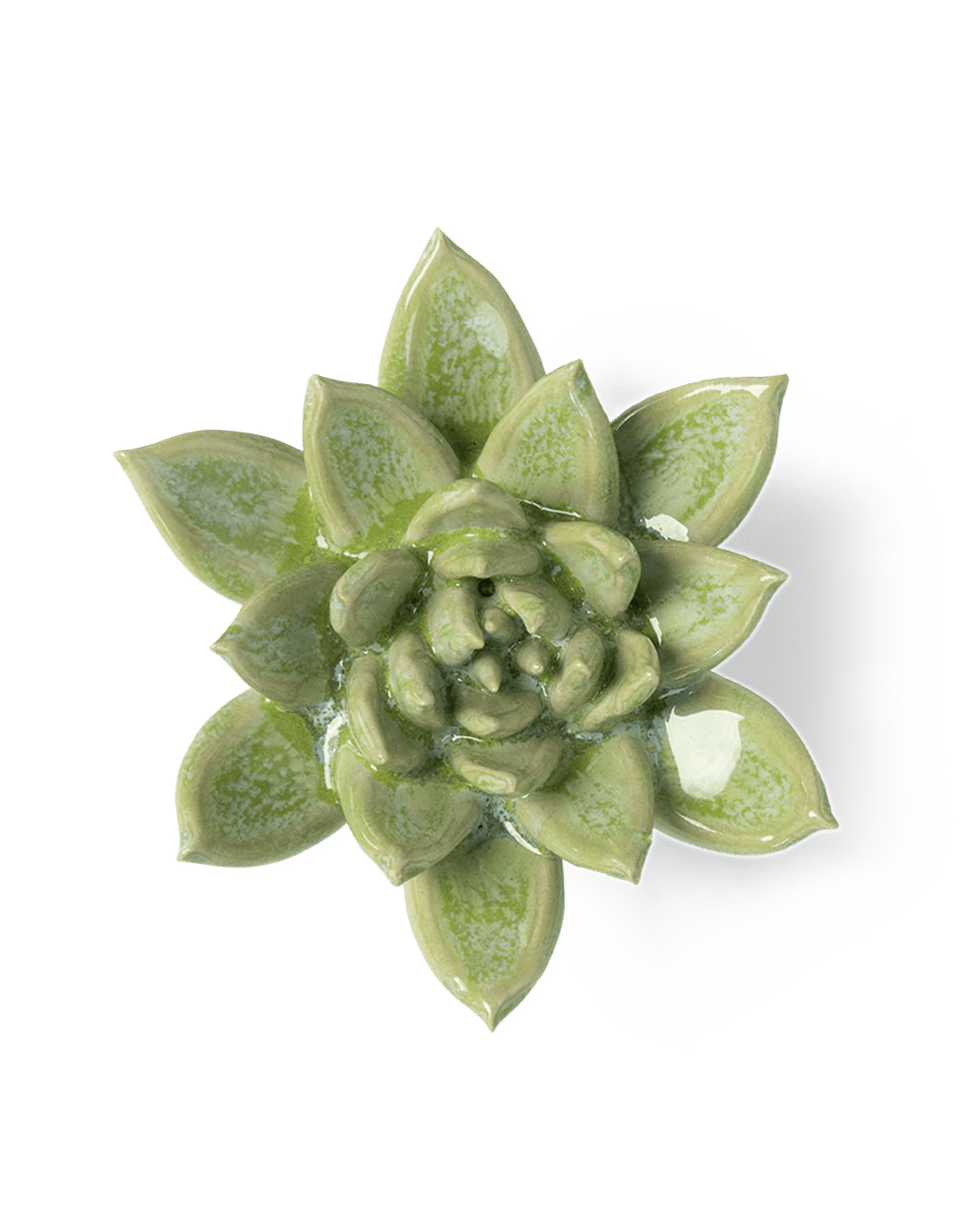 JA20 Pea Green Ghost Succulent - Chive Ceramics Studio - Ceramic Flowers - Chive Ceramics Studio
