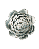 Blue White Queen Protea - Chive Ceramics Studio - Ceramic Flowers - Chive Ceramics Studio