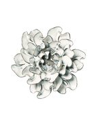 Blue White Hawthorn - Chive Ceramics Studio - Ceramic Flowers - Chive Ceramics Studio