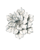 Blue White Cosmos - Chive Ceramics Studio - Ceramic Flowers - Chive Ceramics Studio