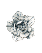 Blue White Purslane - Chive Ceramics Studio - Ceramic Flowers - Chive Ceramics Studio